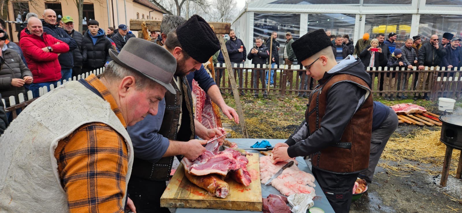 f8198494 2fa8 45e4 986f 2f3c7775216f